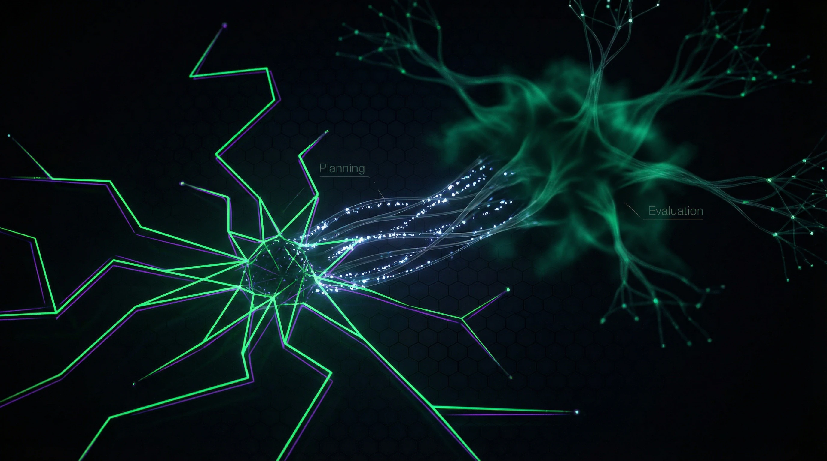 Diagram of amygdala subregions and their role in trust processing