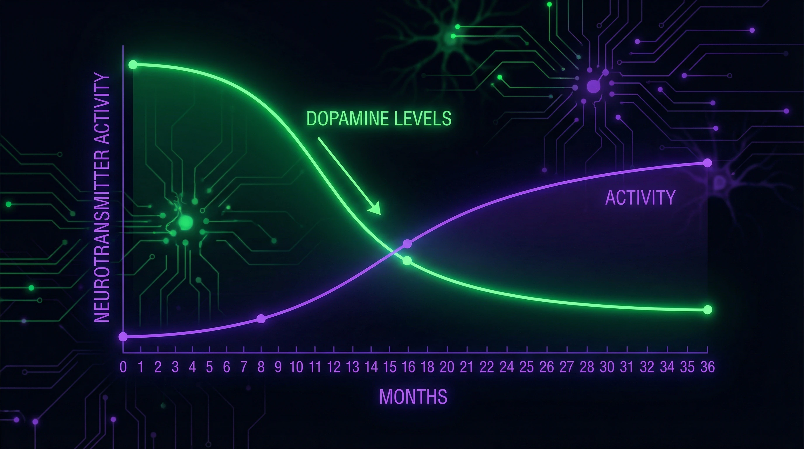 Neurochemical dynamics of relationships: graph showing dopamine decline and oxytocin rise over the first three years